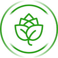 Logo SZ reconversion résilience vert